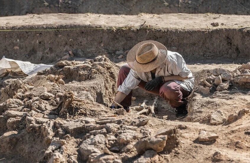 اكتشاف أثري في سوريا يكشف عن بيع ألعاب للأطفال قبل 4500 عام