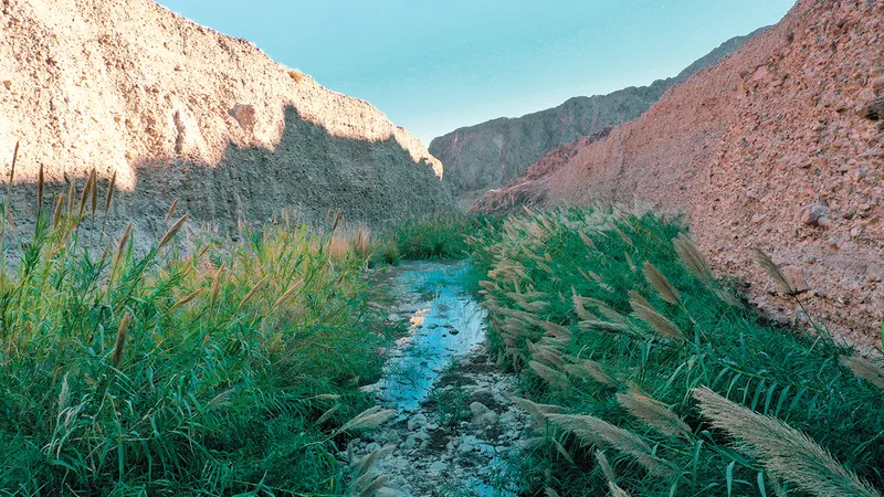 إنجاز إماراتي جديد.. وادي الوريعة أول محمية طبيعية في الدولة ضمن التراث العالمي