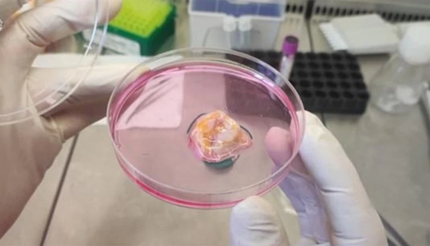 إنجاز إماراتي رائد.. علاج السرطان بخلايا مأخوذة من جسم المريض نفسه