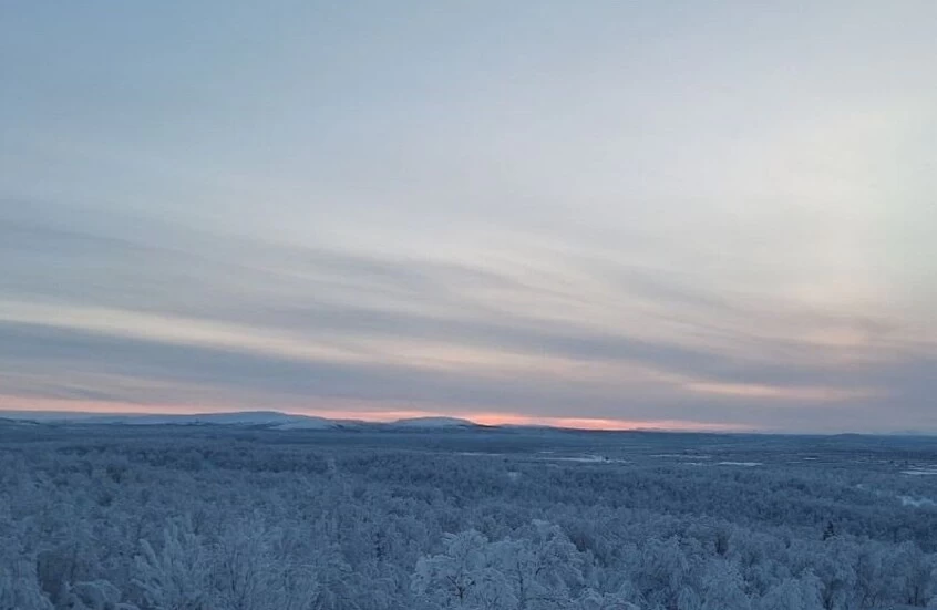 بعد 40 يومًا من الظلام.. مورمانسك الروسية تحتفل بظهور الشمس مجددًا رغم البرد القارس