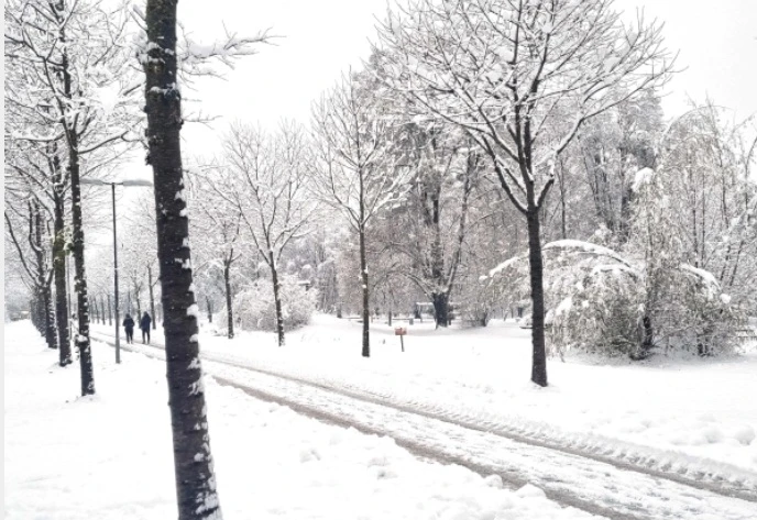 بعد أكثر من 140 عامًا.. شهر مارس يسجل حرارة دون الصفر في النمسا