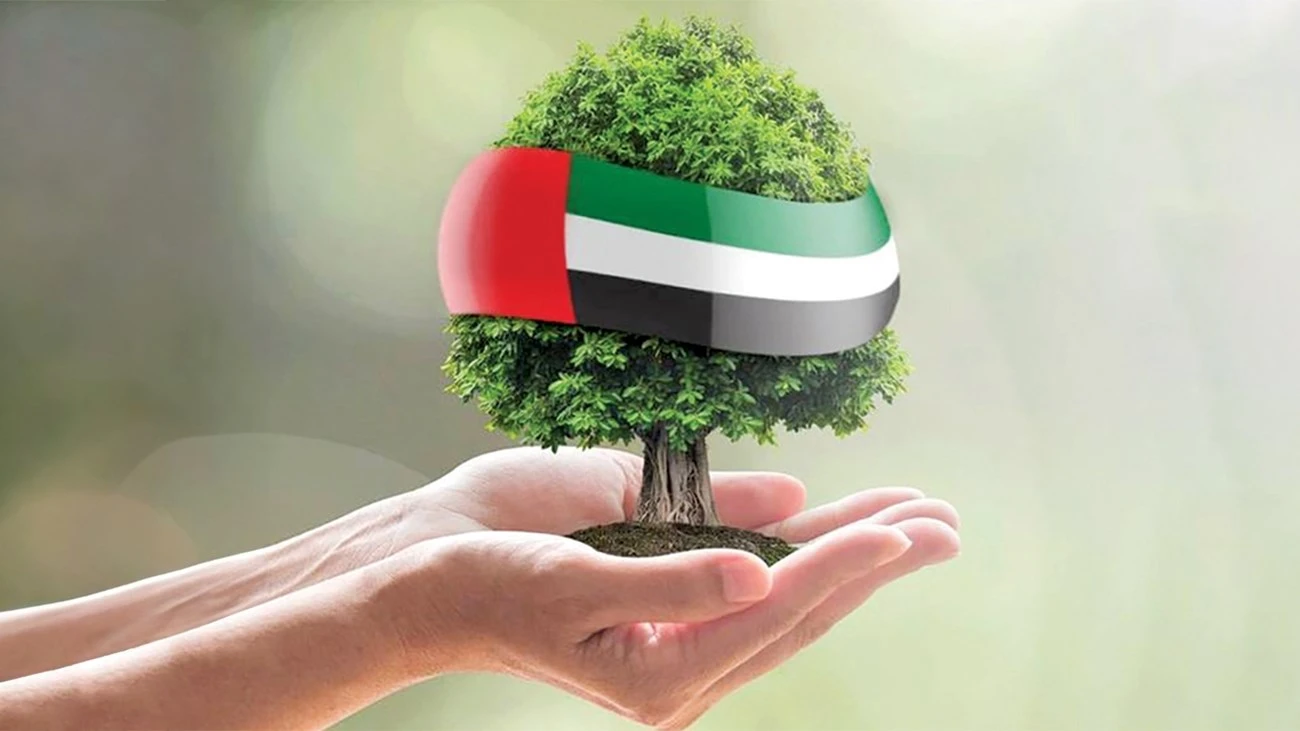د. آمنة مهنا الكعبي تكتب: الاستدامة.. حين يصبح المستقبل مسؤولية الحاضر