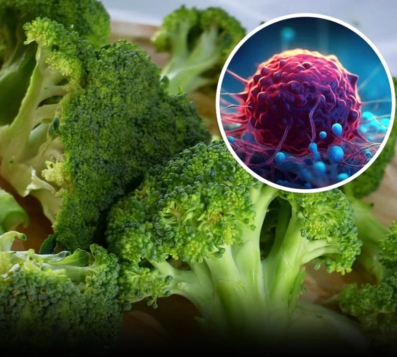 دراسات حديثة: البروكلي يقلل من خطر الإصابة بالسرطان