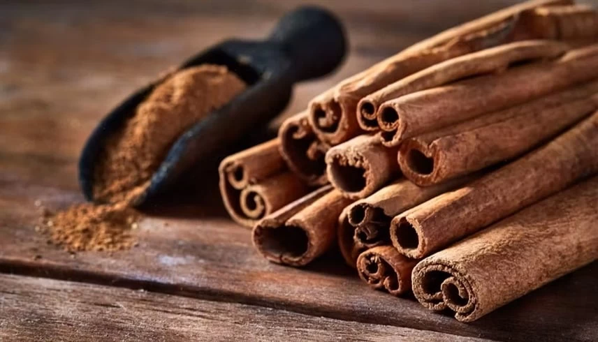 دراسات تؤكد دور القرفة والكركم في تعزيز حرق الدهون وتحسين حساسية الأنسولين