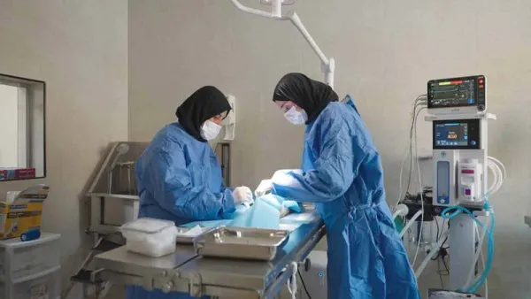 من الشارع إلى منزل آمن.. دبي تطلق مأوى جديداً للحيوانات الأليفة